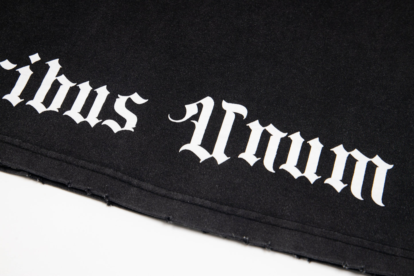 ゴッドスピード Tシャツ G06